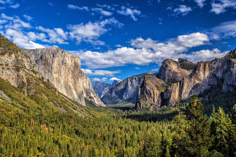 Summer in Yosemite National Park, California