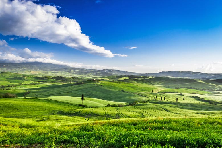 Tuscany in May